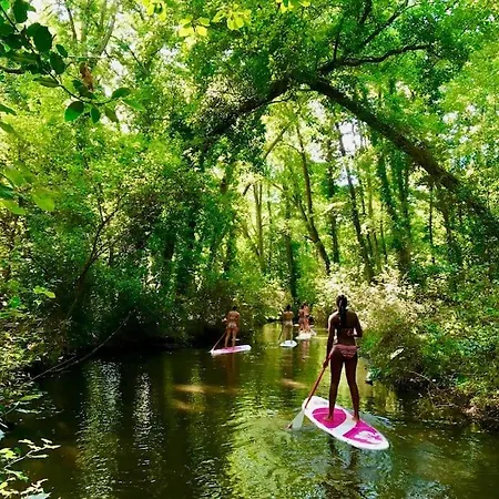 House De Charme A Messanges. La Maison Bleue Messanges (Landes)