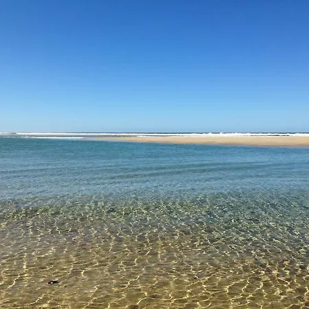 Vakantiehuis House De Charme A Messanges. La Maison Bleue