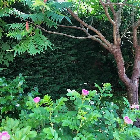 Vakantiehuis House De Charme A Messanges. La Maison Bleue *