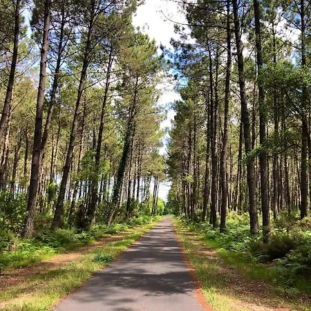Vakantiehuis House De Charme A Messanges. La Maison Bleue *