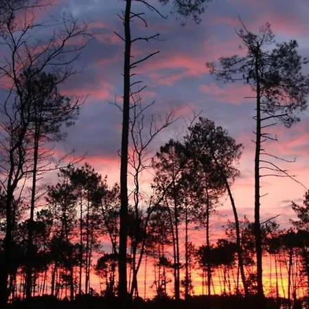 House De Charme A Messanges. La Maison Bleue