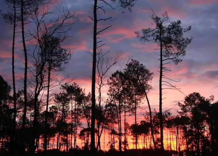 House De Charme A Messanges. La Maison Bleue