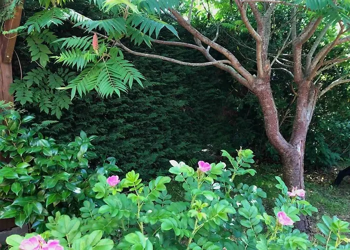 Casa de Férias House De Charme A Messanges. La Maison Bleue *