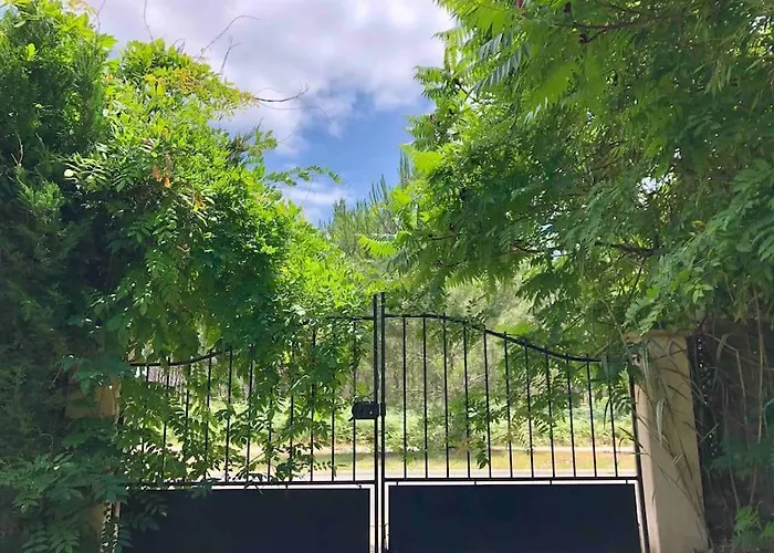 House De Charme A Messanges. La Maison Bleue Messanges (Landes)