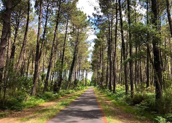 Σπίτι διακοπών House De Charme A Messanges. La Maison Bleue *